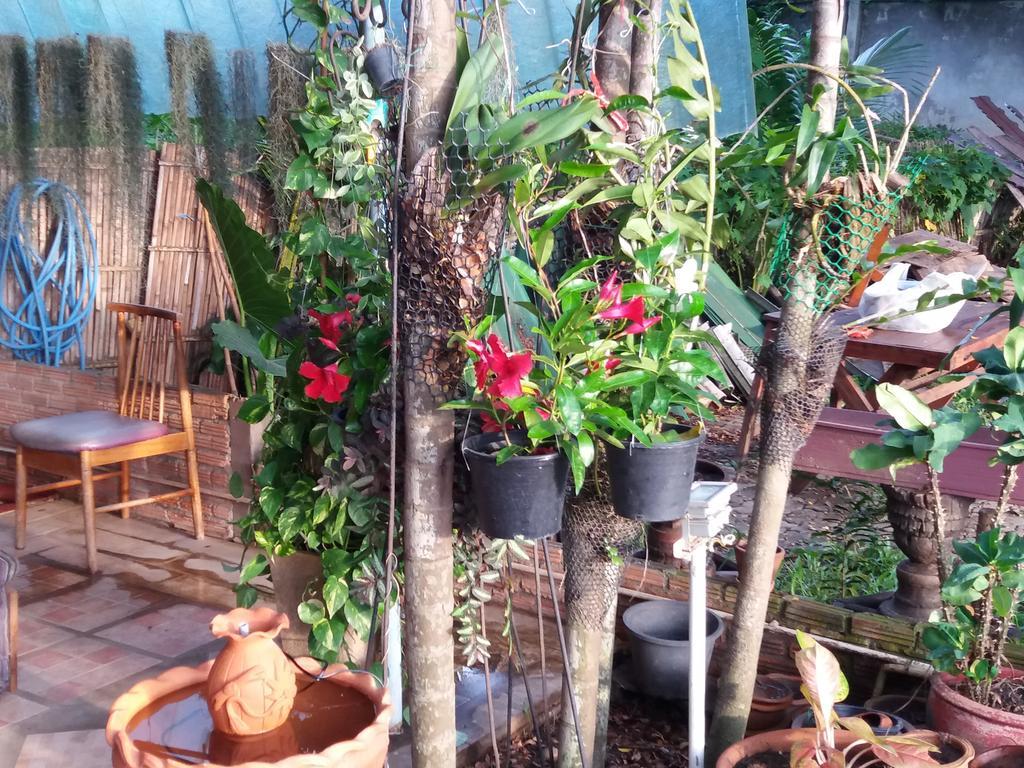 Hollanda Montri Guesthouse Chiang Mai Extérieur photo